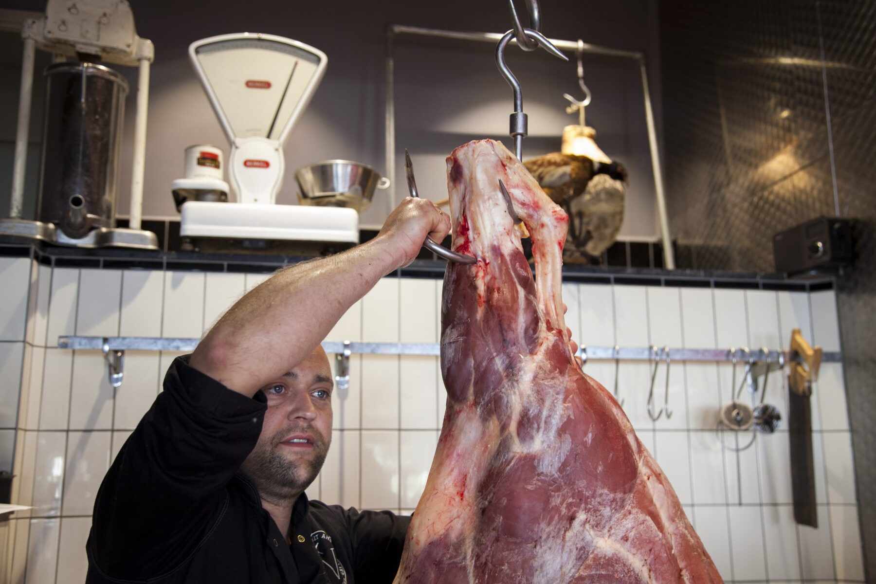 De slager tilt een halve karkas van de haak in de werkplaats